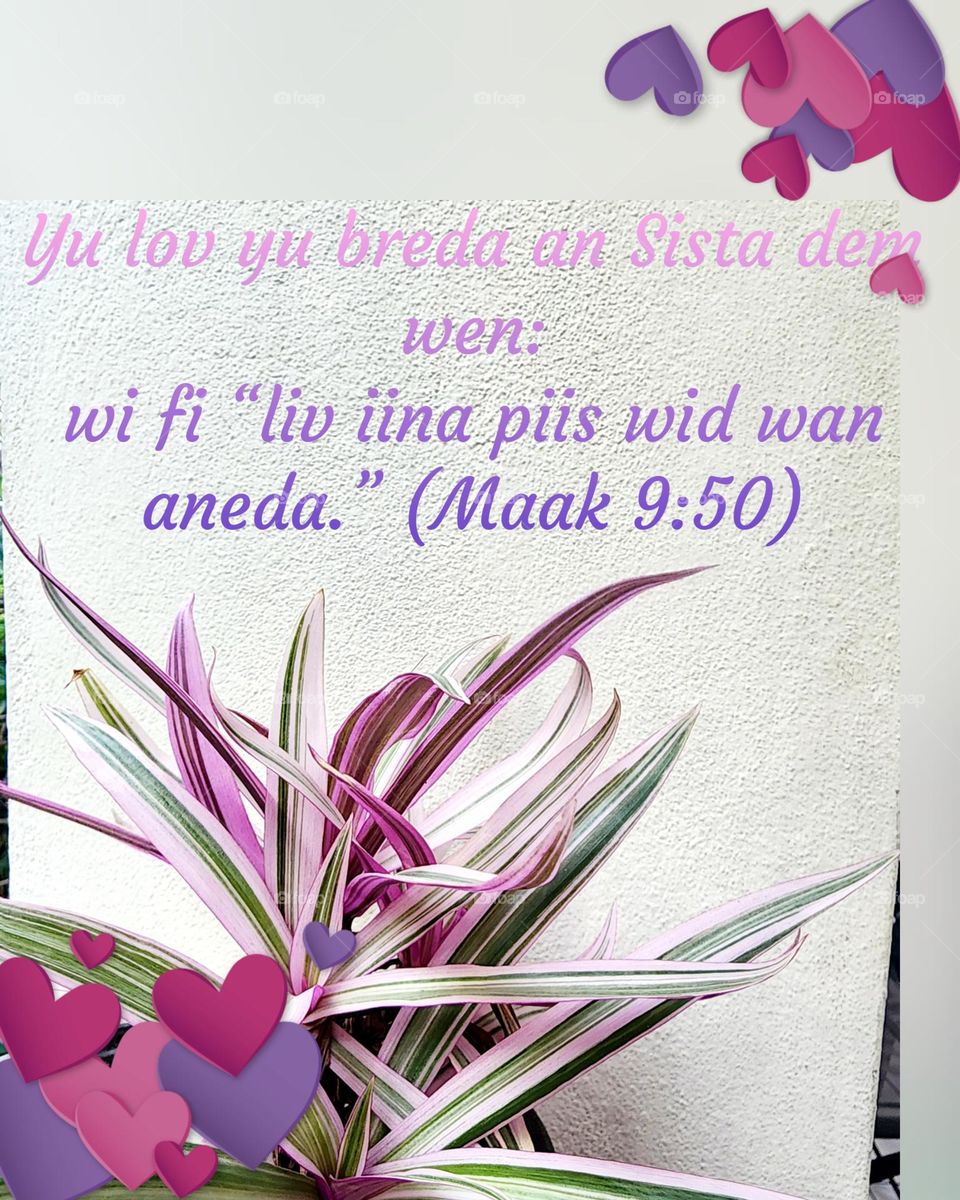 liv Inna piis ( live in peace)