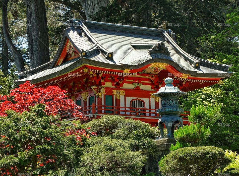 Japanese Shinto Shrine. Beautiful Japanese Pagoda In Serene Tea Garden
