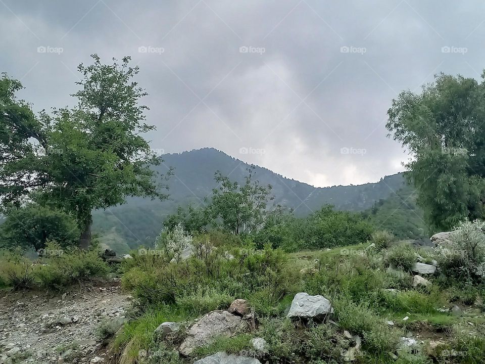 awesome beautiful mountain top up