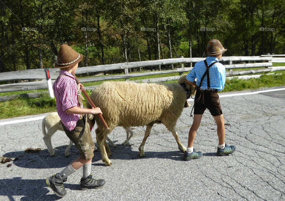 two little boys leading a sheep
