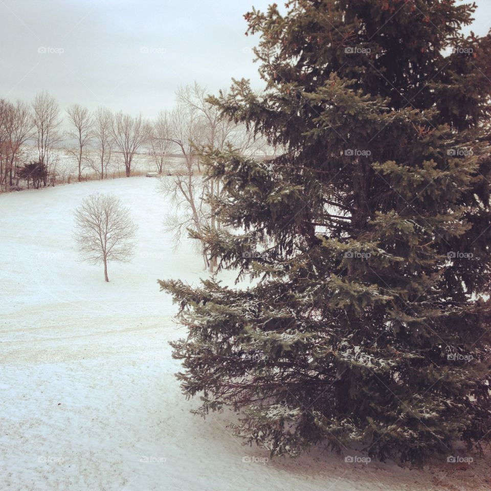 Iowa winter