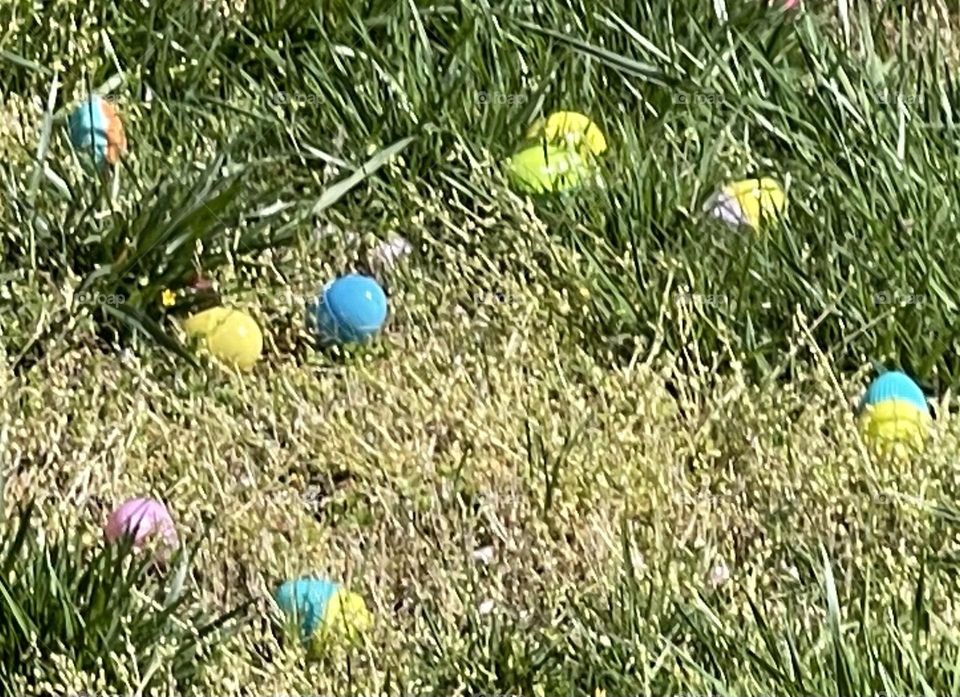 Easter egg hunt