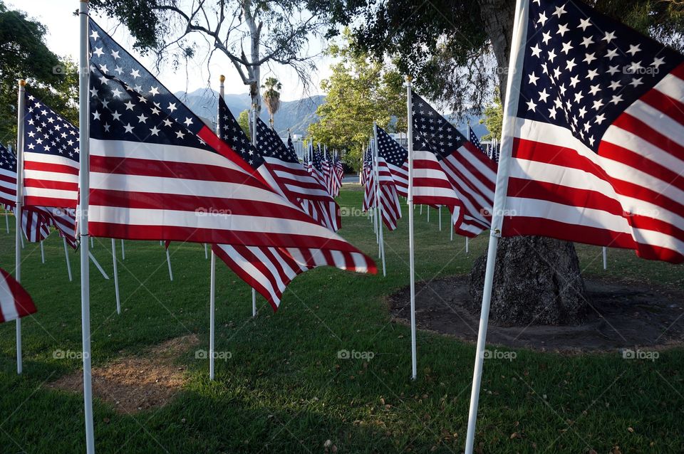 USA Flags. Memorial Day Holiday