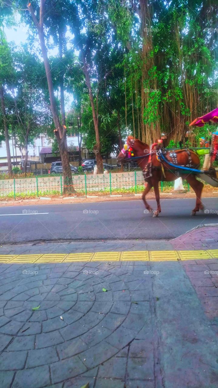 The end of the journey means the beginning of something else