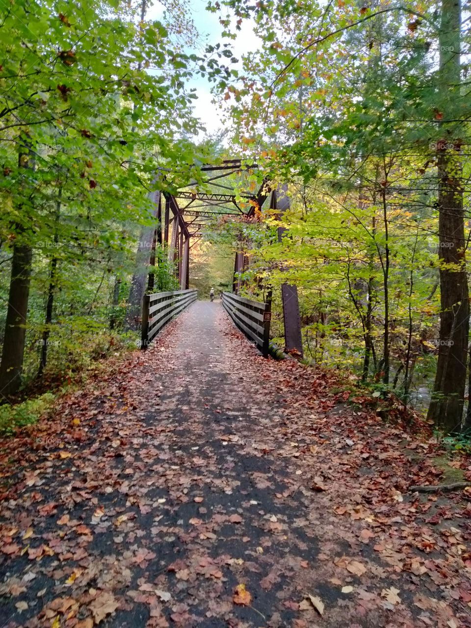 Virginia creeper trail