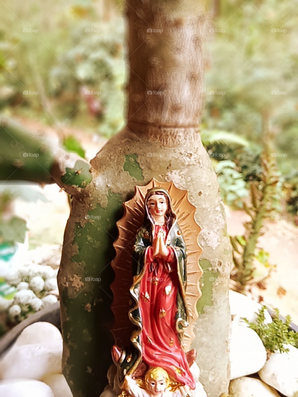 Nuestra Señora de Guadalupe