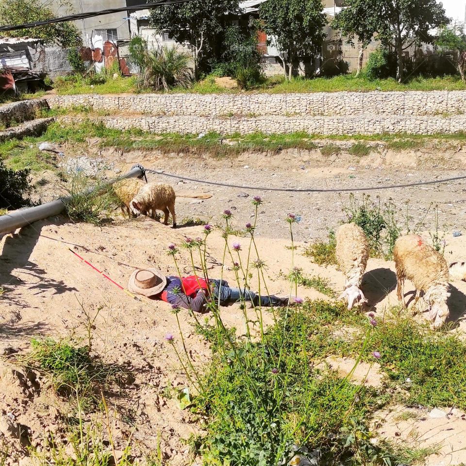 Photographing nature, simple life, psychological and spiritual comfort for man, it is fun