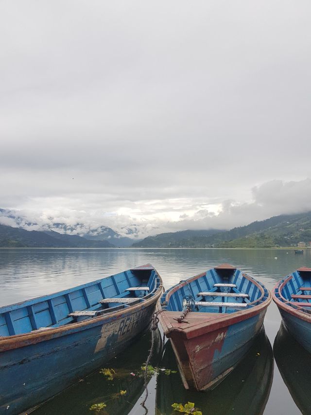 Boats and nature