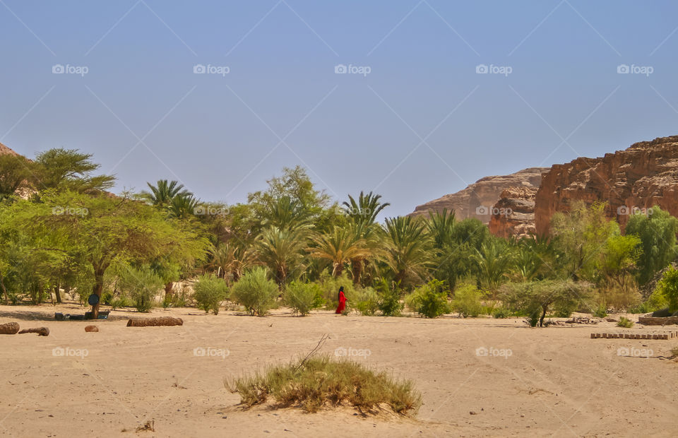 Distant view of women in sinai desert egypt