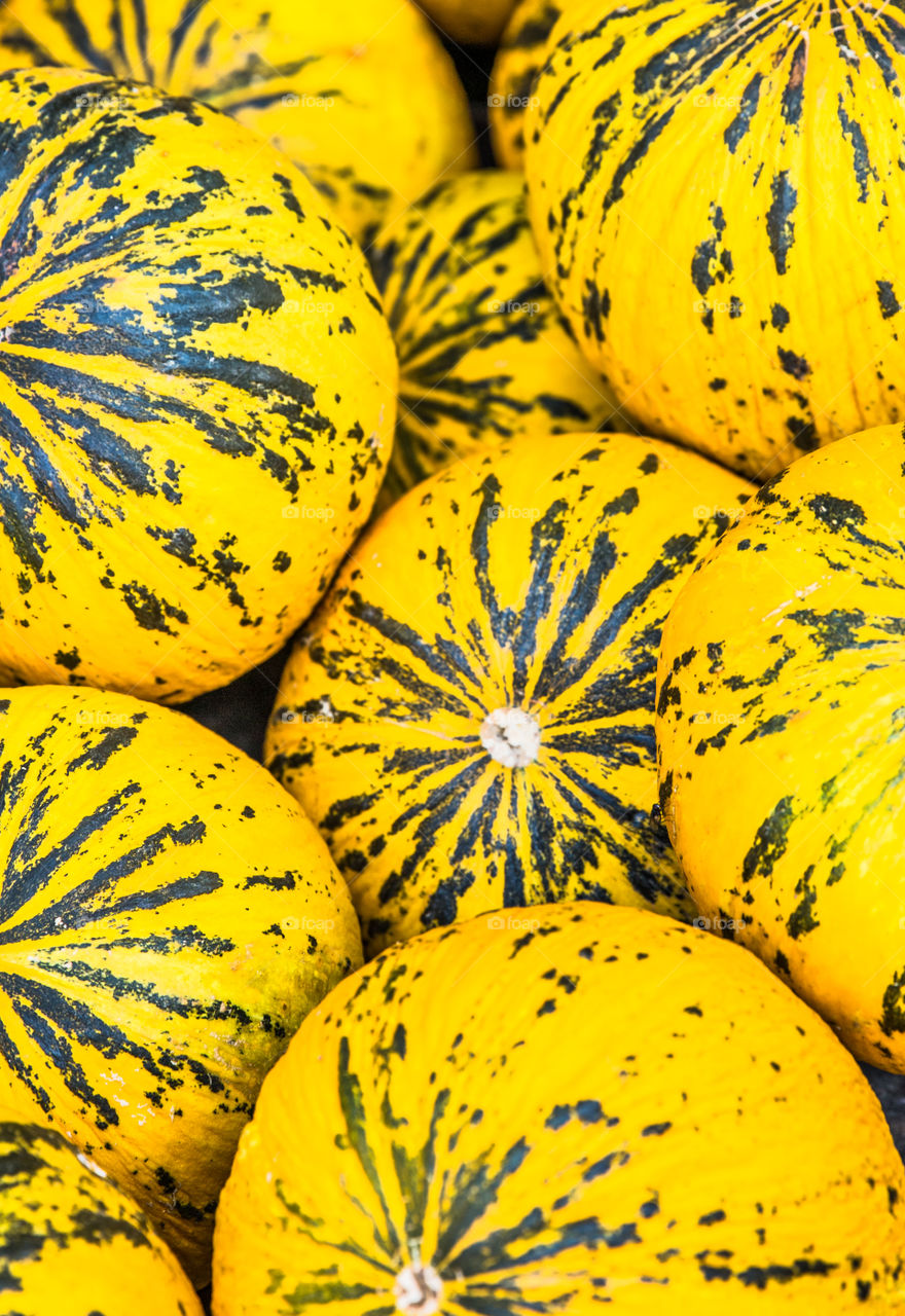 Yellow melons fruits