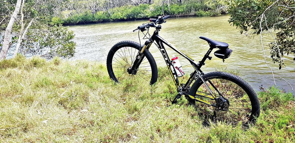 Cycling along the Boondall wetlands qld