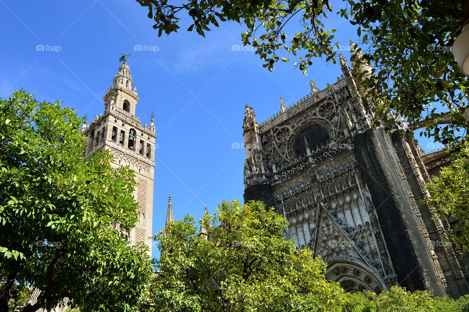 View of La Giralda and Sevilla cathedral from Huerto de los Naranjos, Sevilla, Spain.
