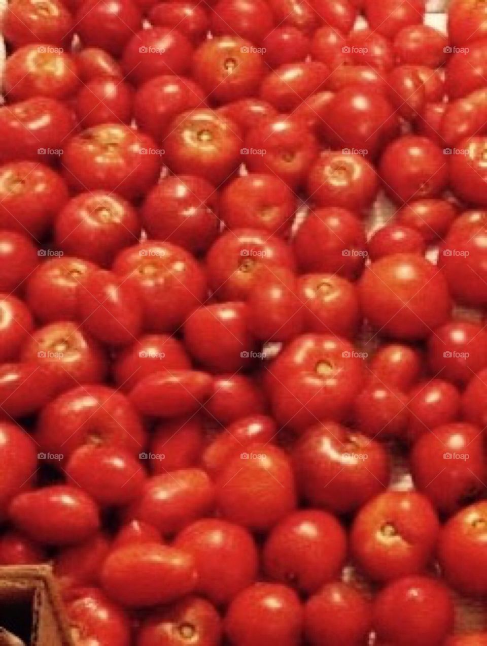Red tomatoes 
