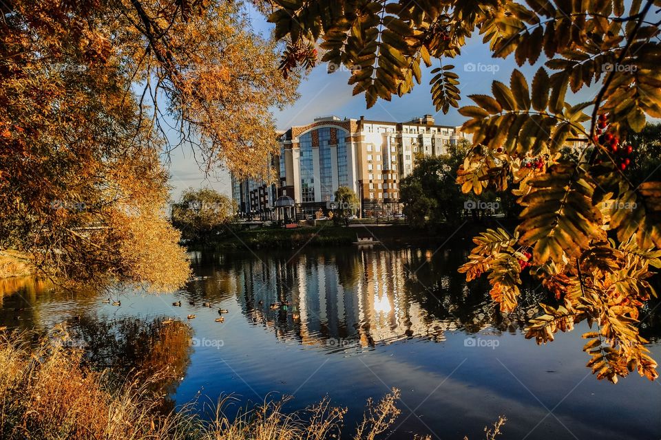 autumn reflection