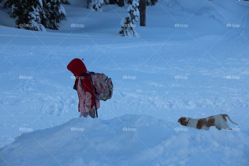 Girl and her dog on the snow 