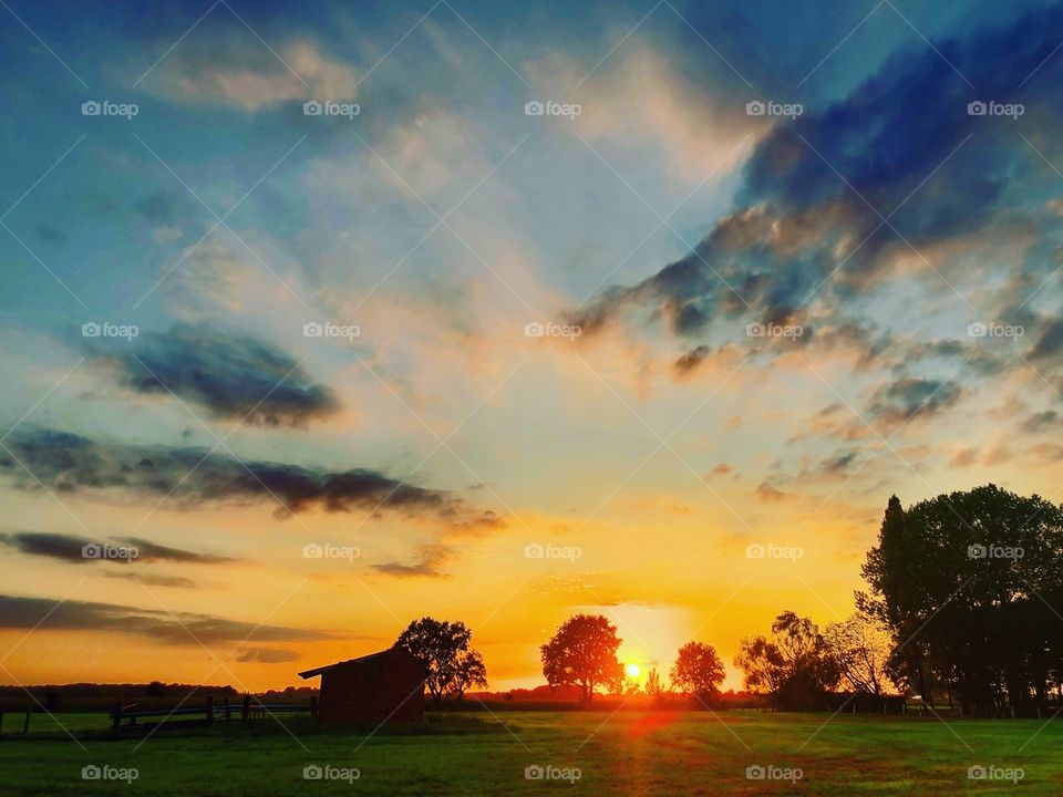 Silhouettes of trees and a shed in a farmfield against a backdrop of a dramatic and colorful sunrise in the Golden and blue sky with some dark Fluffy clouds