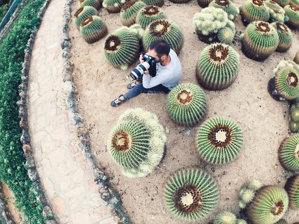 Man sitting on the cactus plantation and snapping photo