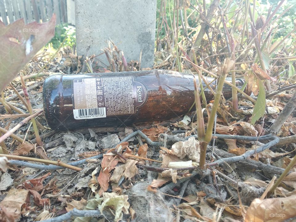 empty kozel glass beer bottle on dry grass and leaves