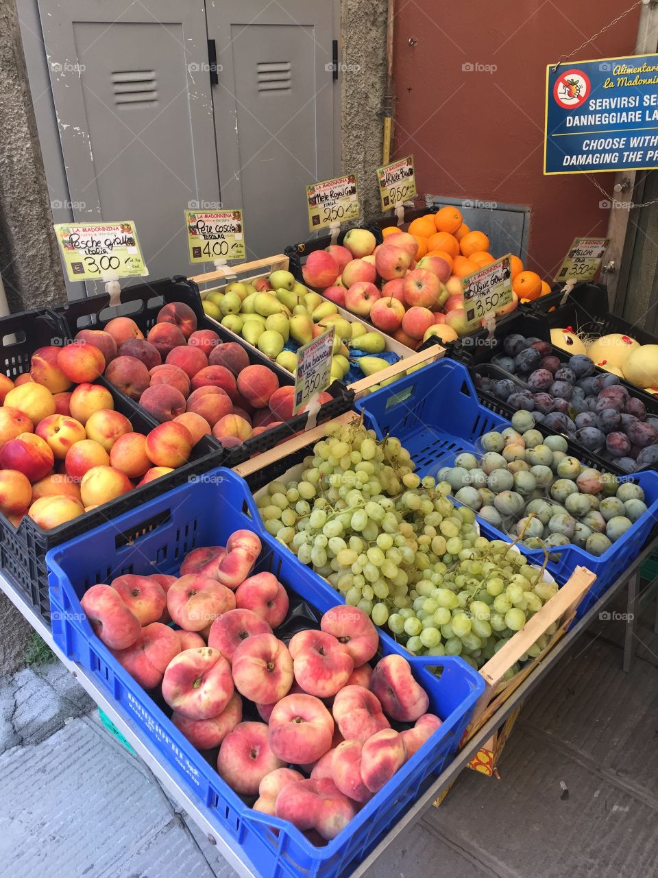 Fruits in the market 