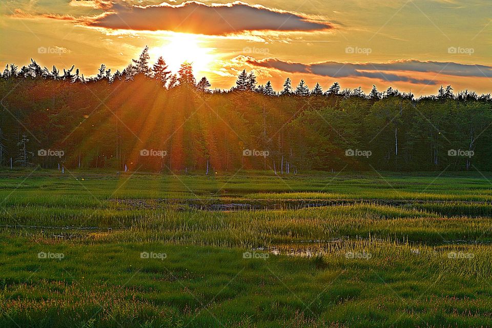 Sun rays broadcasting over the meadows Light: Natural vs artificial vol 2. Light is the backbone of photography. Without light, there are no photos. After all, the word photo means light.
