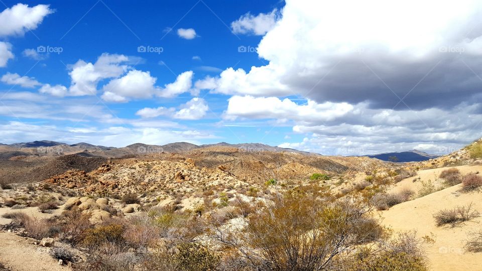 California Desert