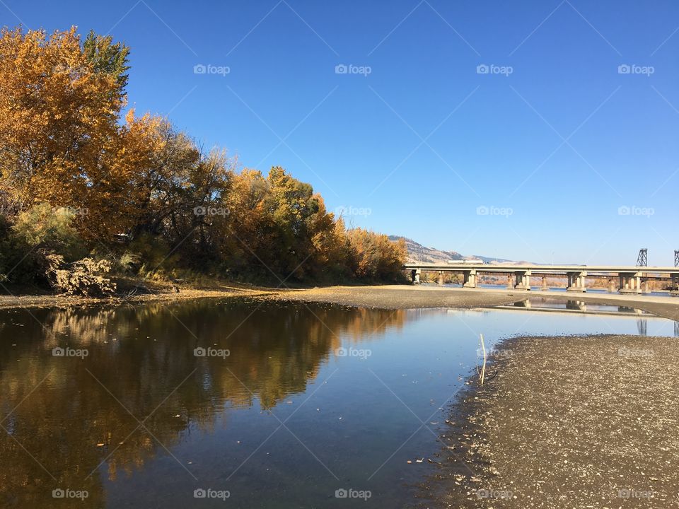 Beautiful autumn colours 