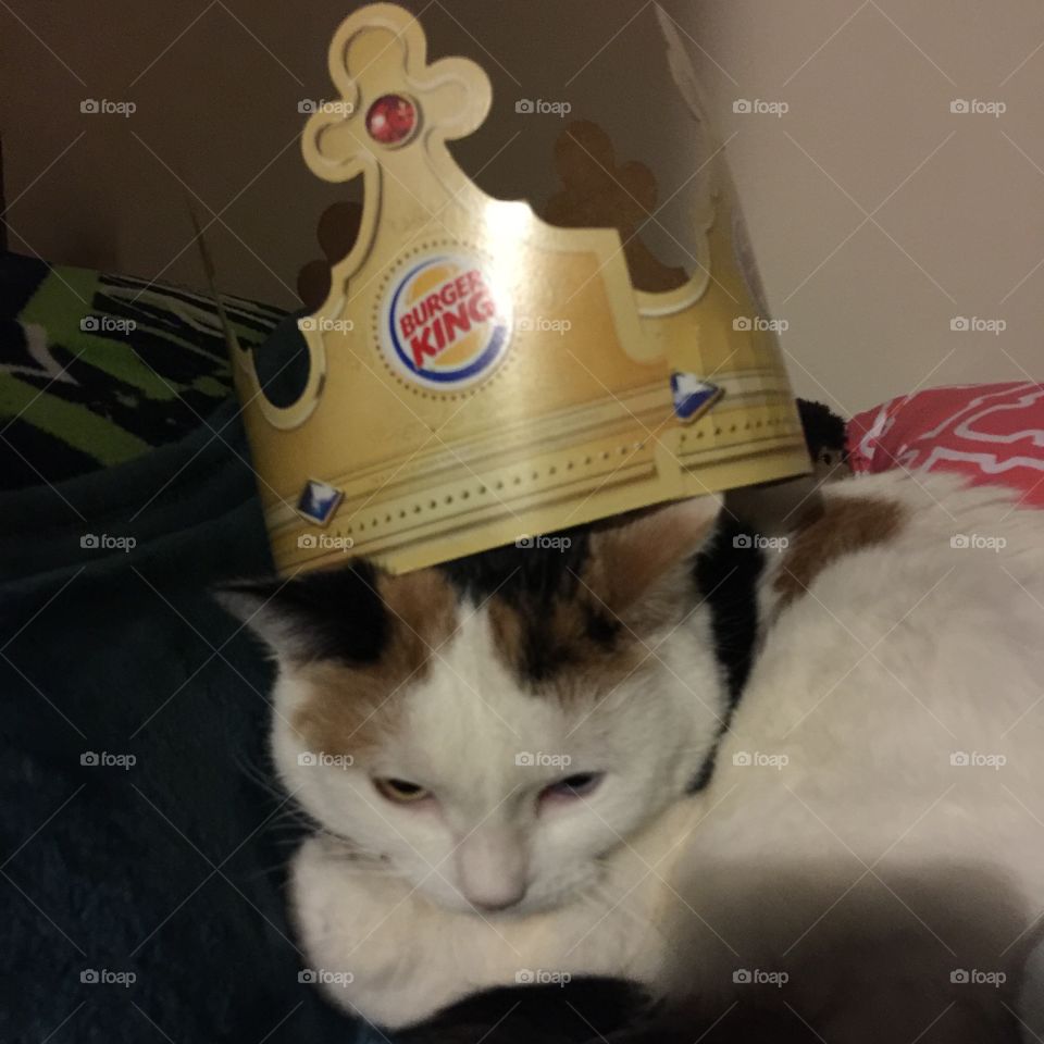 Lady GaGa love her Burger King crown she wants a whopper 