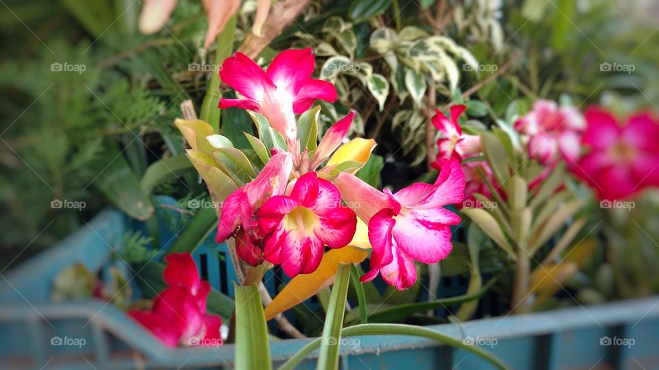 Na vida, cada segundo, é tudo diferente.