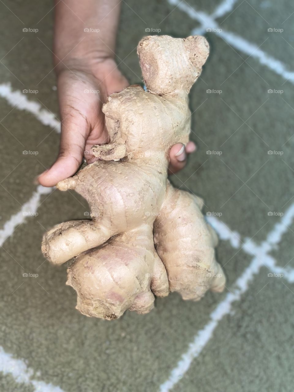 Beautiful and amazing big ginger 