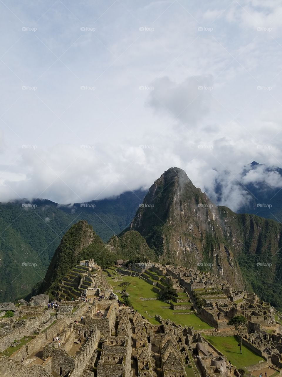 Machu Picchu