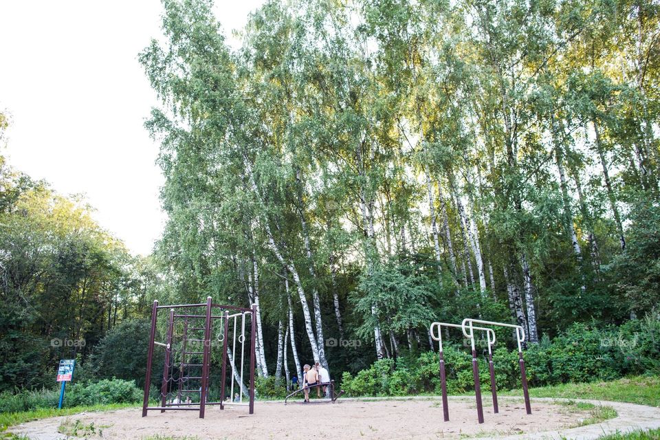 Wood, Tree, Nature, Leaf, Park