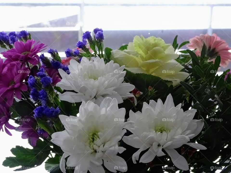 Winter in Schwarzwald