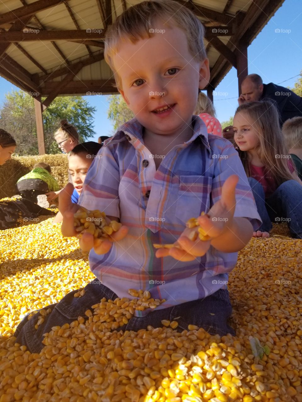 playing in corn