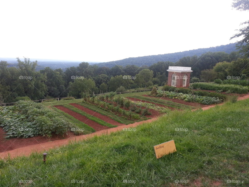 Jefferson's Garden