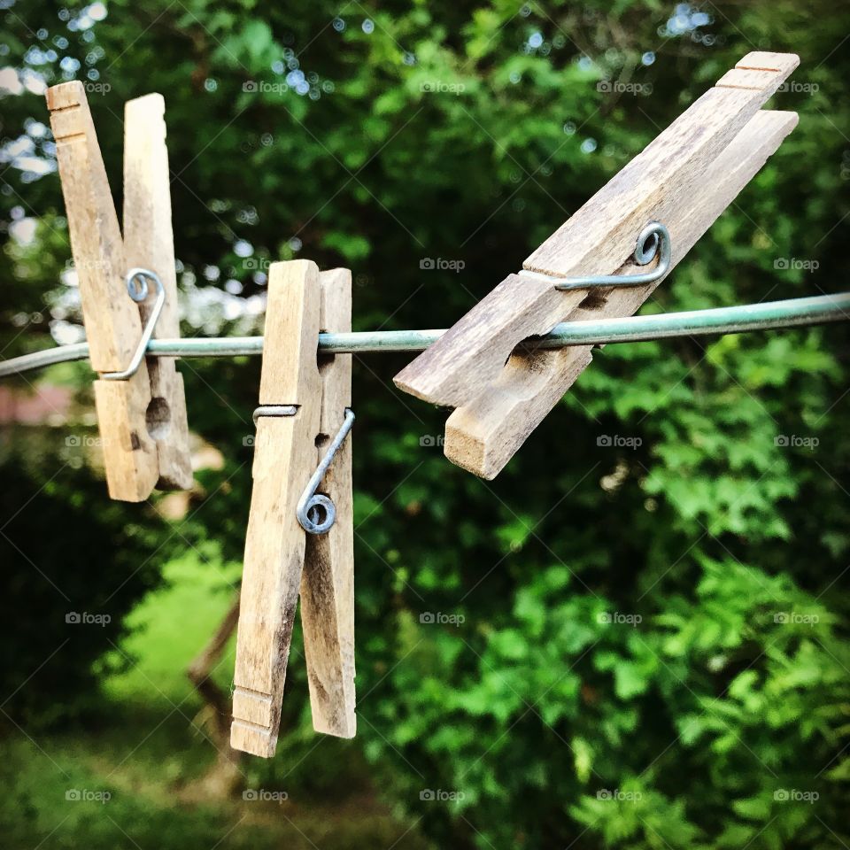 Rustic Clothespins in Greenery