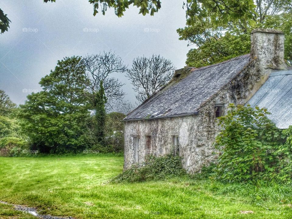 Derelict cottage 