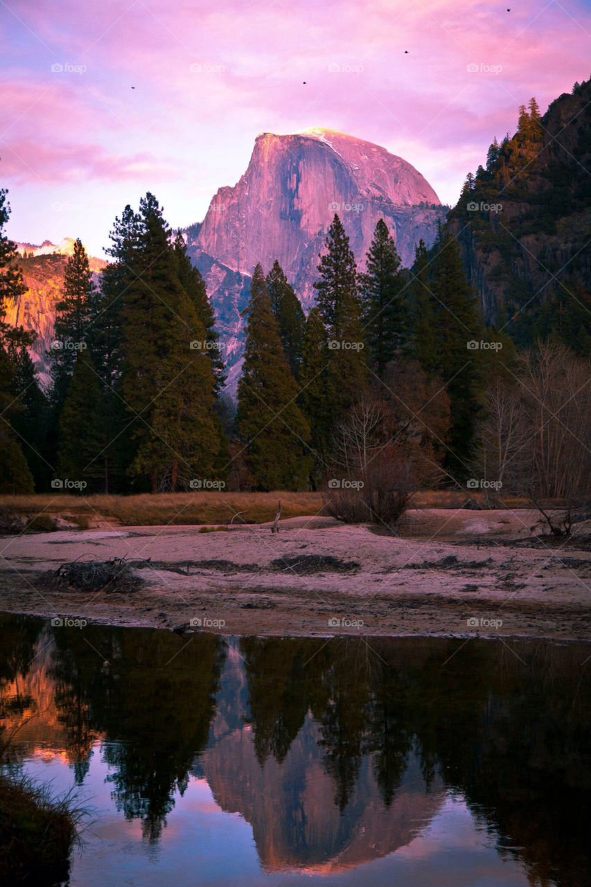 landscape green nature hunting by Sheldonsteere