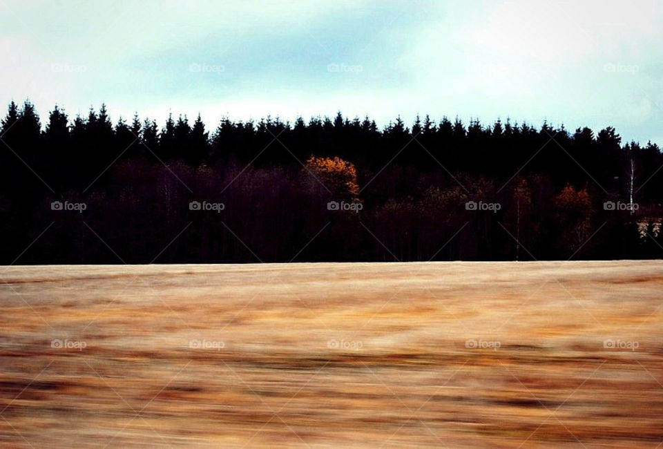 car autumn speed scenery by merethe