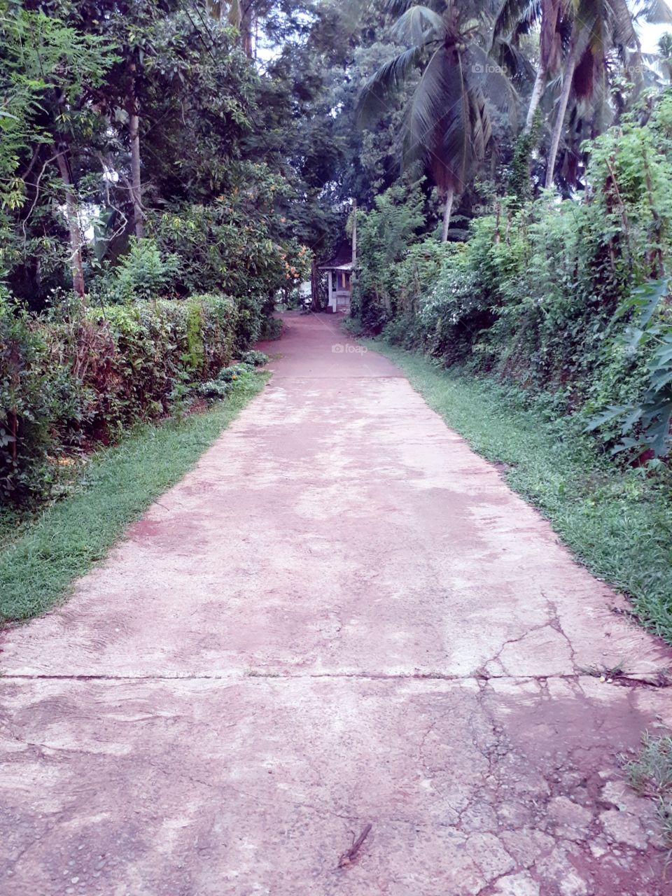 road