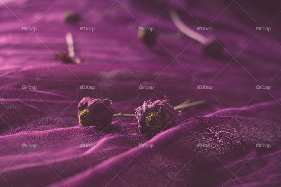 Flowers on purple textile