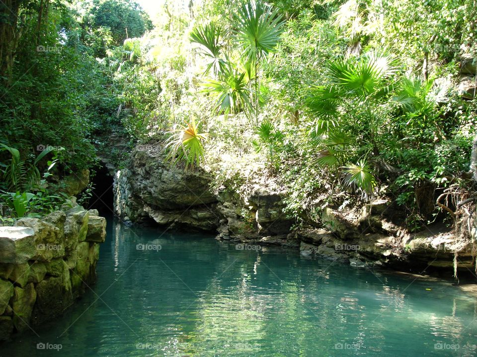 river in jungles