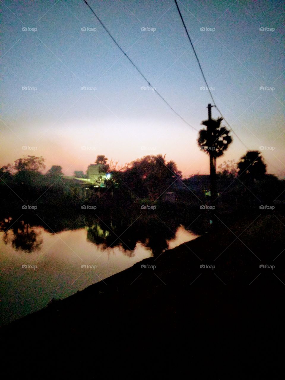 evening time sunlight