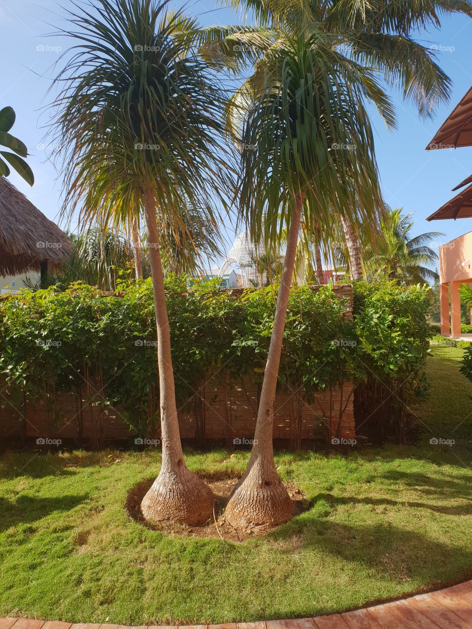 Hotel Iberostar Varadero