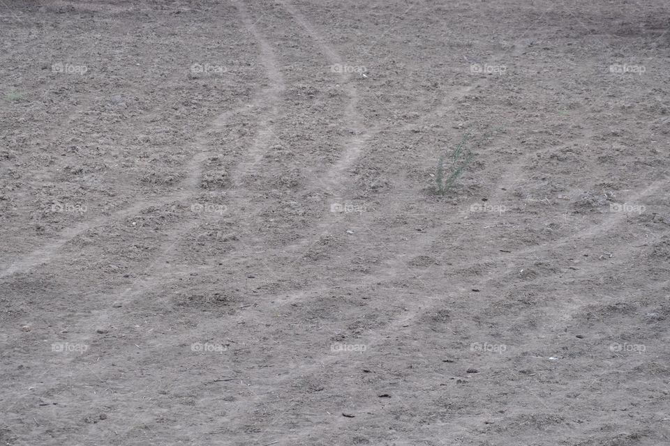 ongoing drought condition