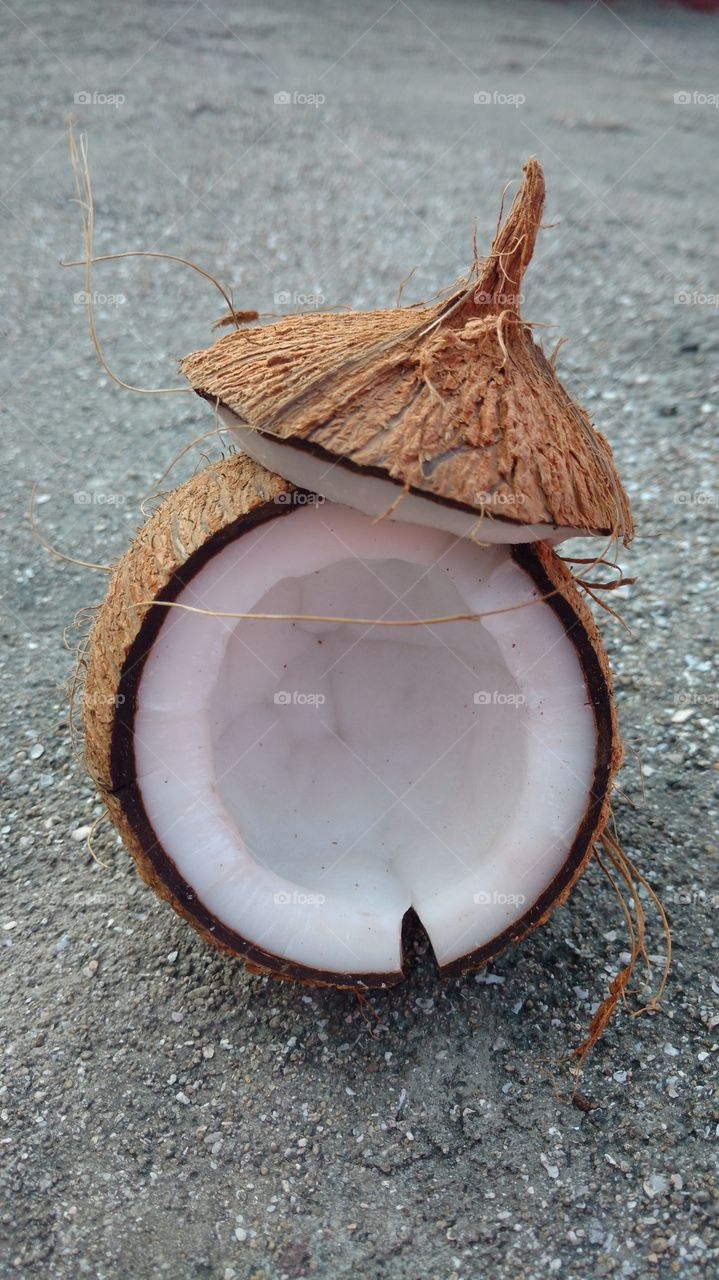 Exotic fruit  - Coconut