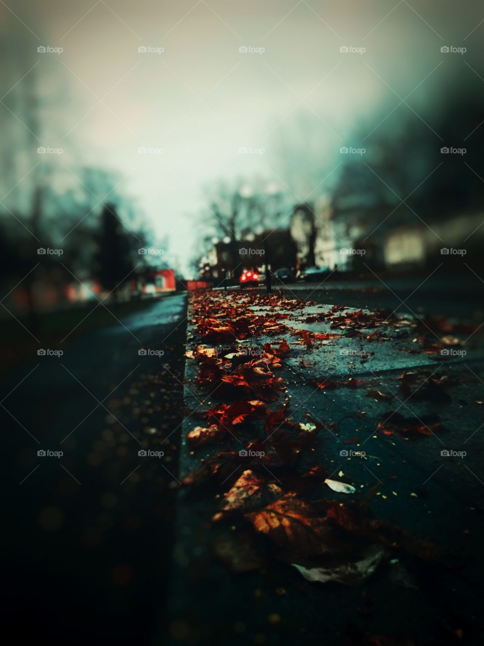 autumn street, old town