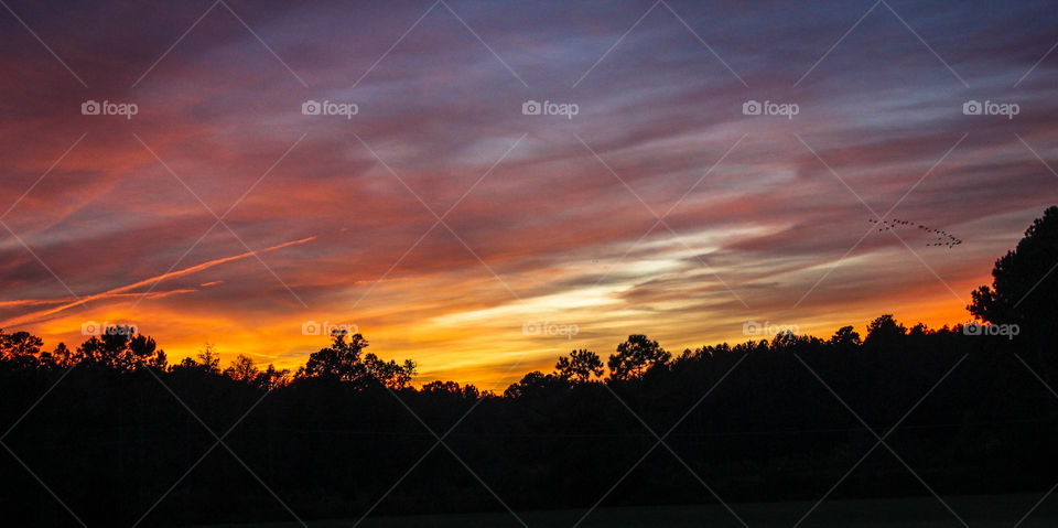 Sunset found my backyard