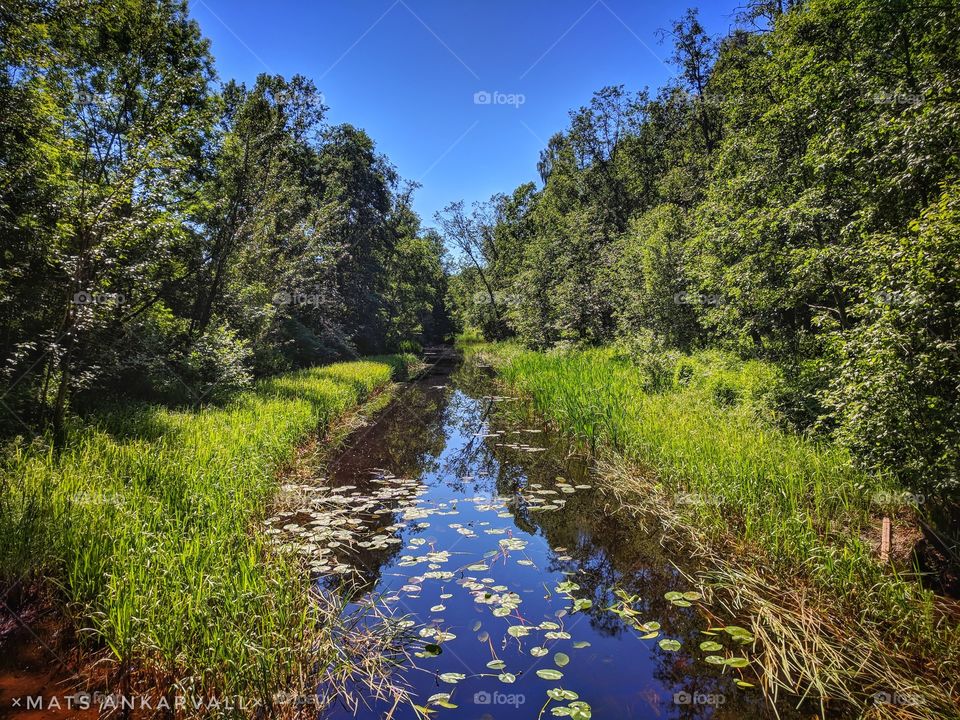 beautiful little river