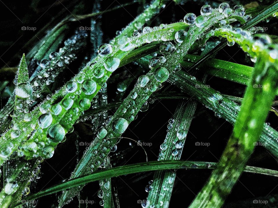 Green is just easy to respond to with ...whatever...