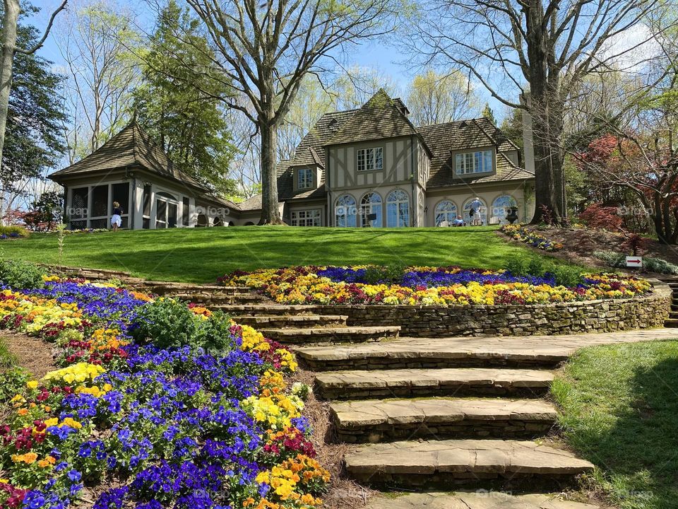 Flowers are blooming and everyone would be able to feel this amazing smell in the air and enjoy the beauty of their bloom! Spring a common favorite season because of the warmth and life associated with the season. I like spring.